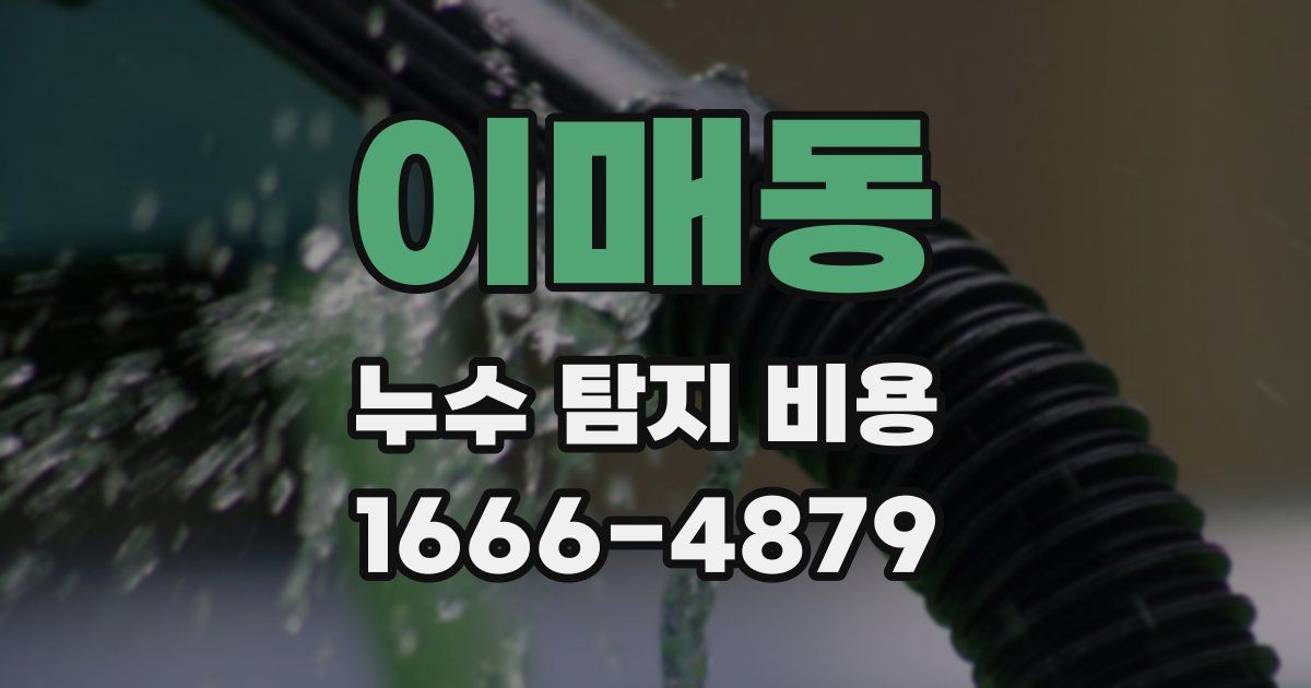 이매동 누수 탐지 비용