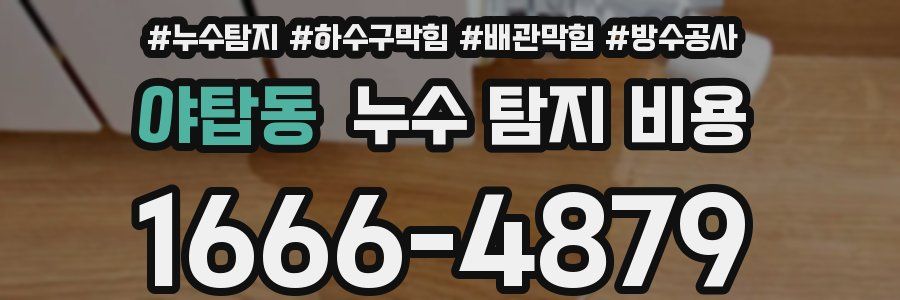 야탑동 누수 탐지 비용