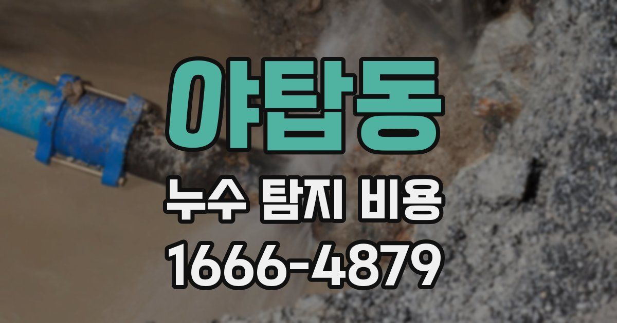 야탑동 누수 탐지 비용