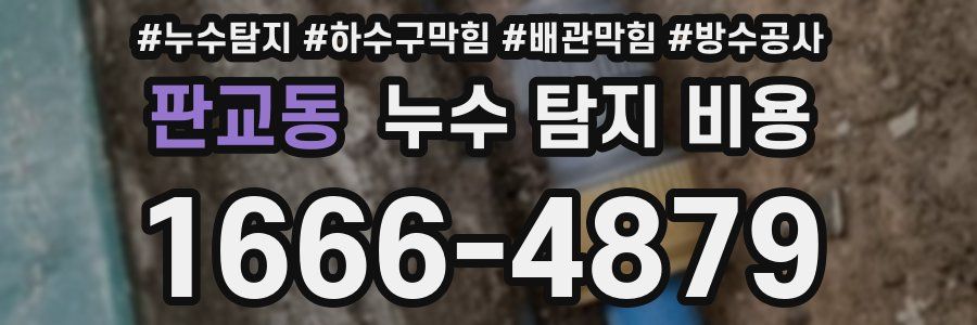 판교동 누수 탐지 비용