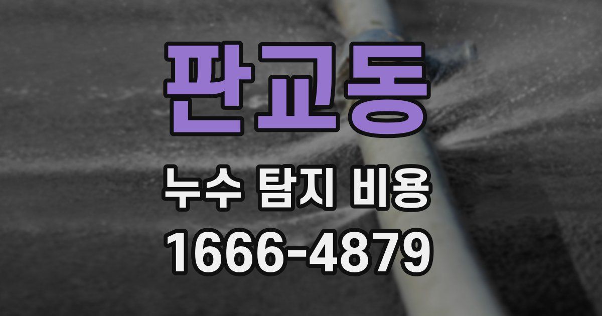 판교동 누수 탐지 비용