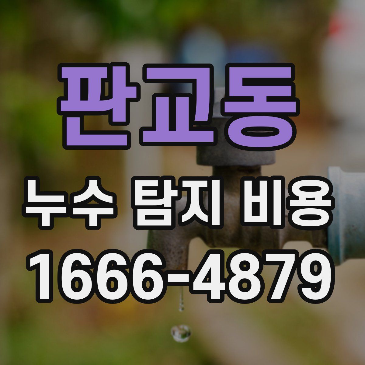판교동 누수 탐지 비용