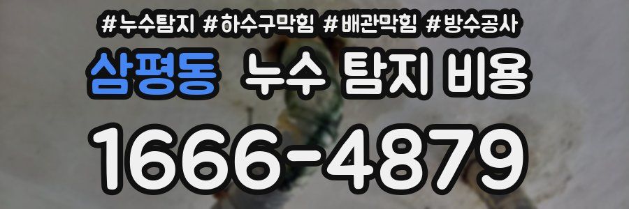 삼평동 누수 탐지 비용
