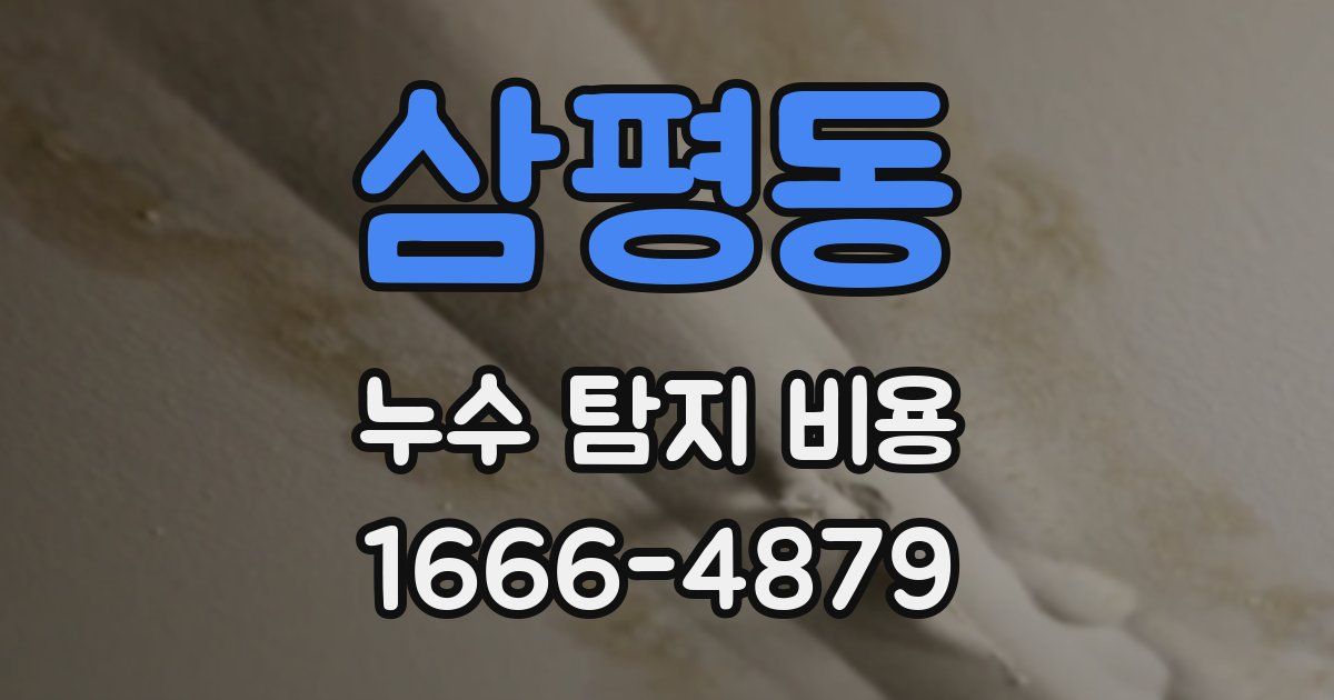 삼평동 누수 탐지 비용