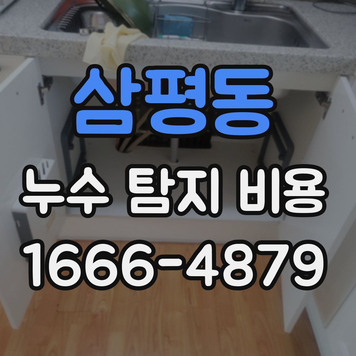 삼평동 누수 탐지 비용