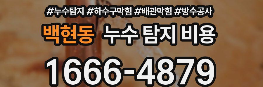 백현동 누수 탐지 비용