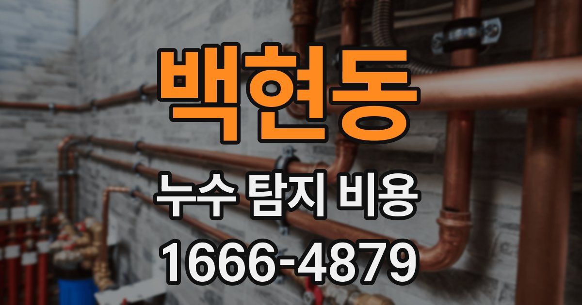 백현동 누수 탐지 비용