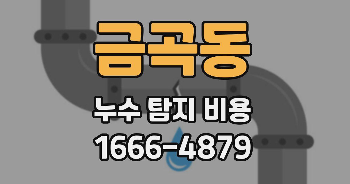금곡동 누수 탐지 비용