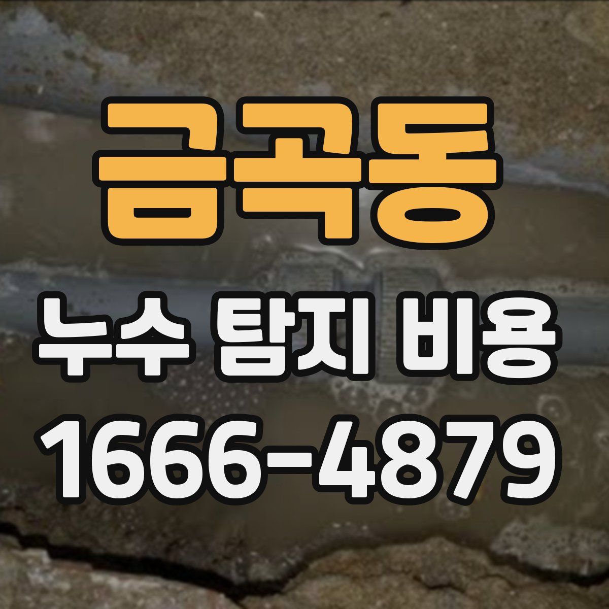 금곡동 누수 탐지 비용