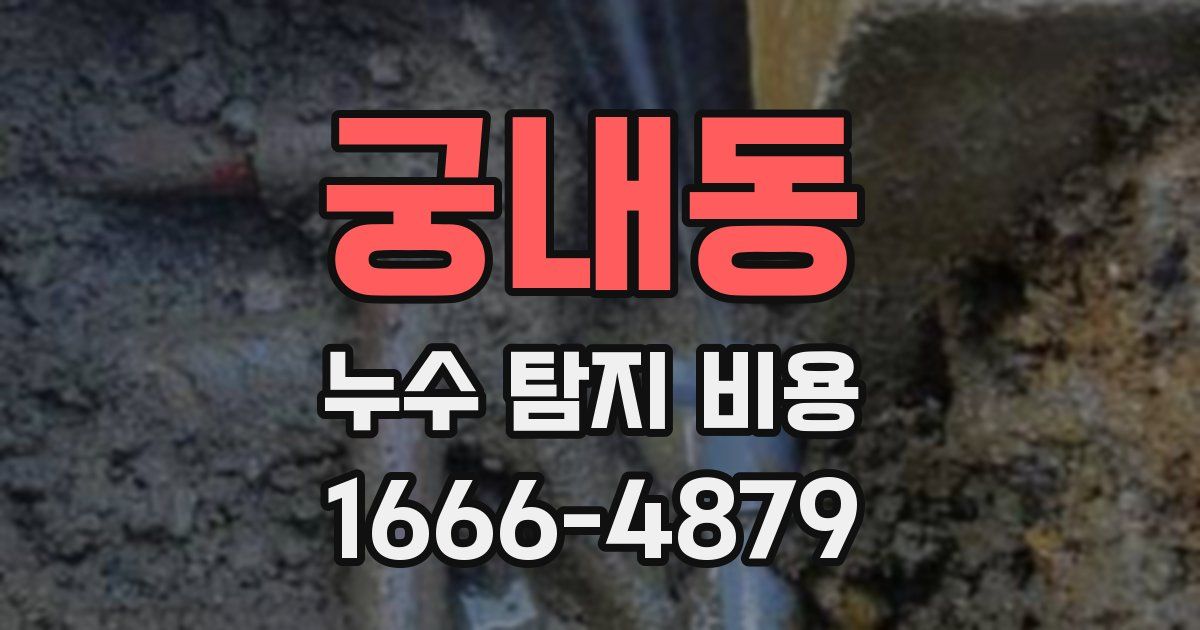 궁내동 누수 탐지 비용