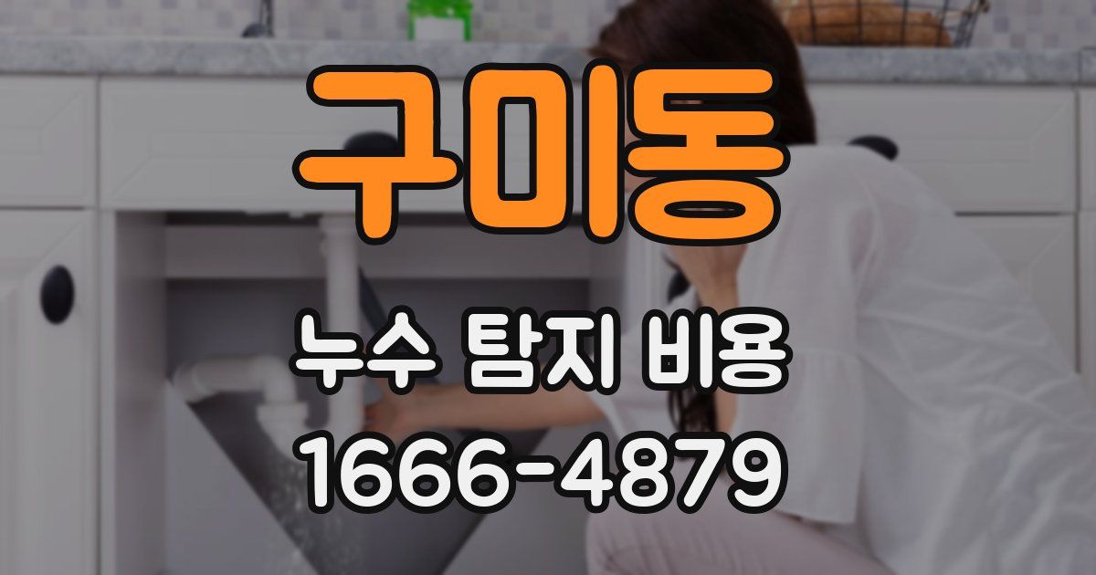 구미동 누수 탐지 비용