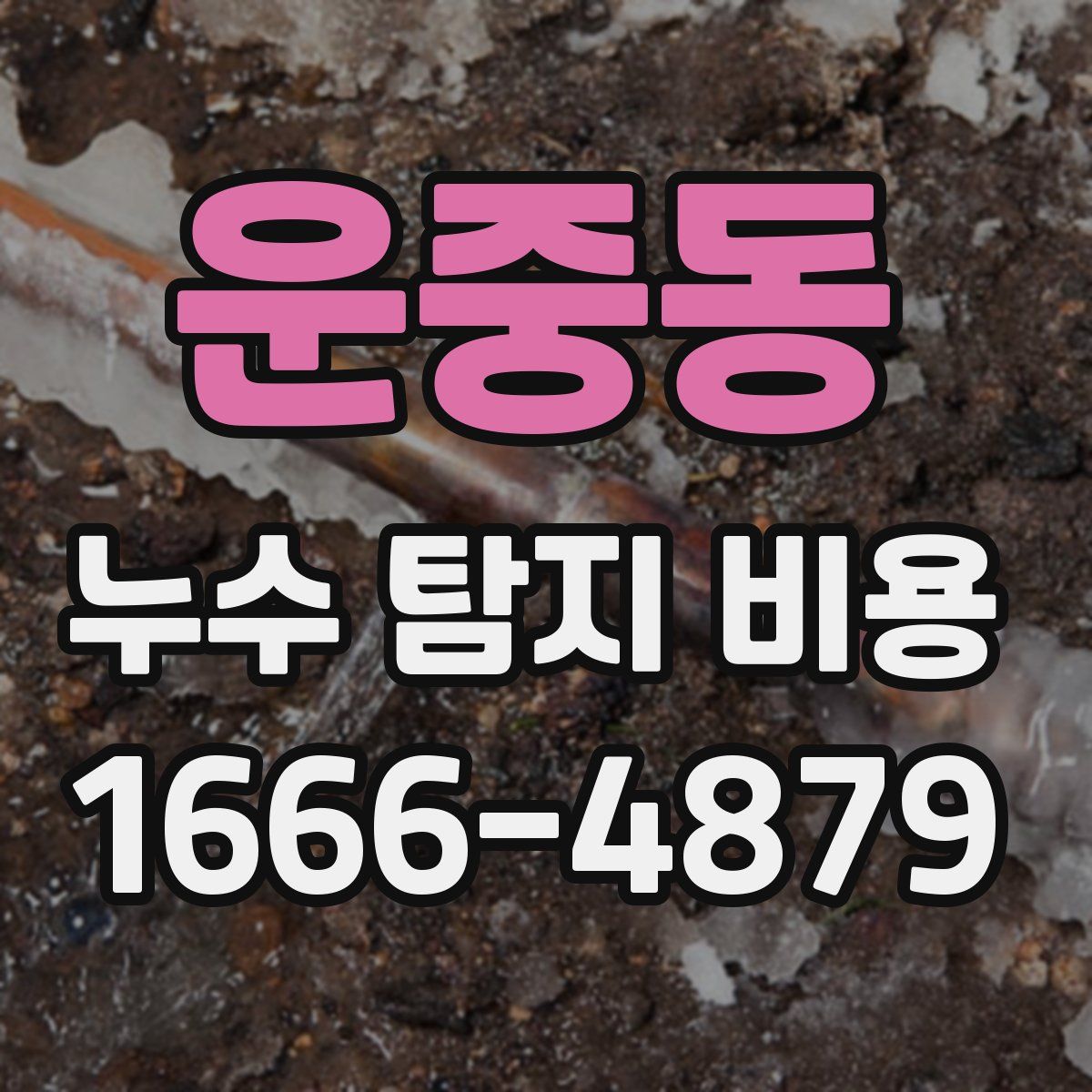 운중동 누수 탐지 비용