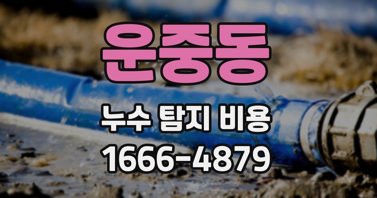 운중동 누수 탐지 비용