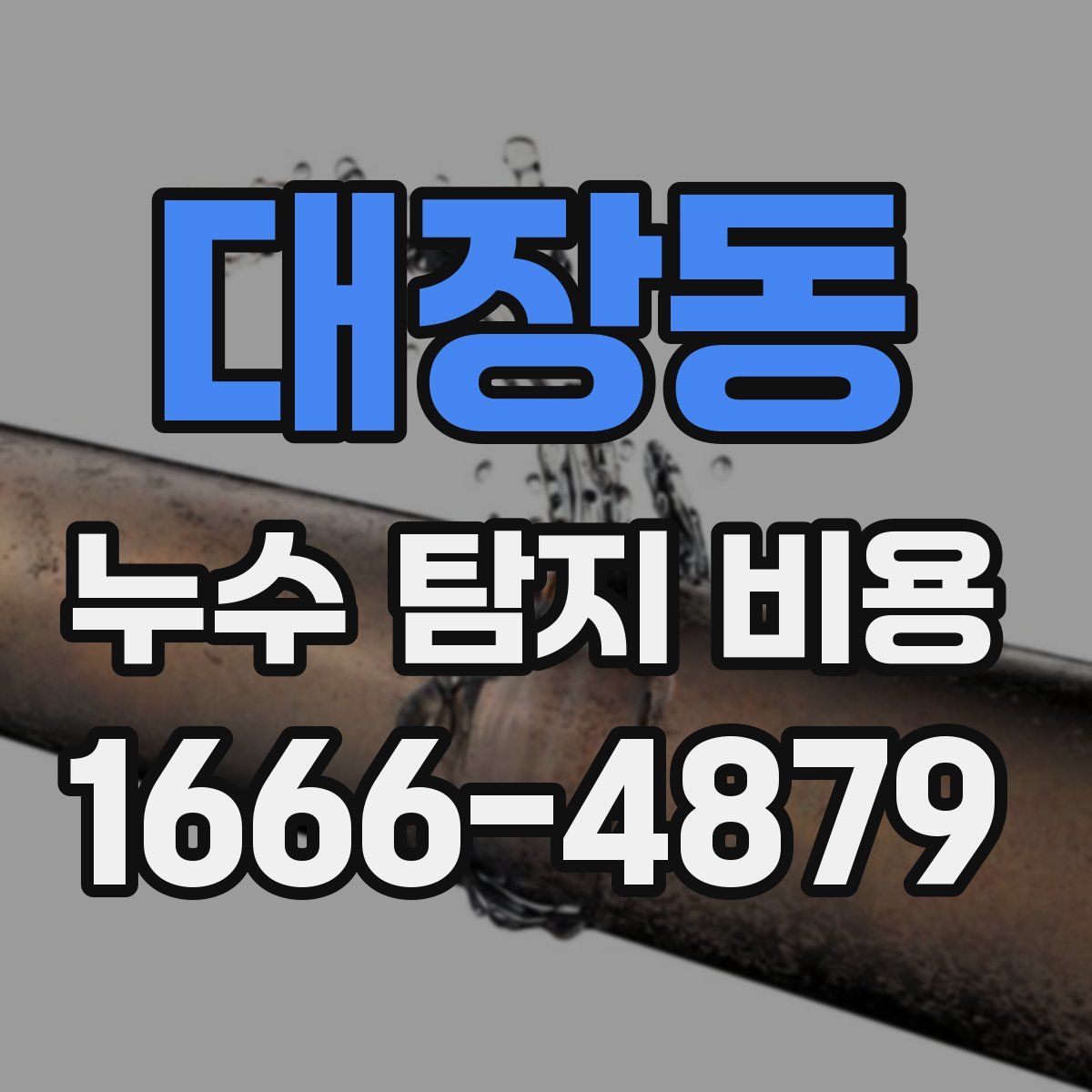 대장동 누수 탐지 비용