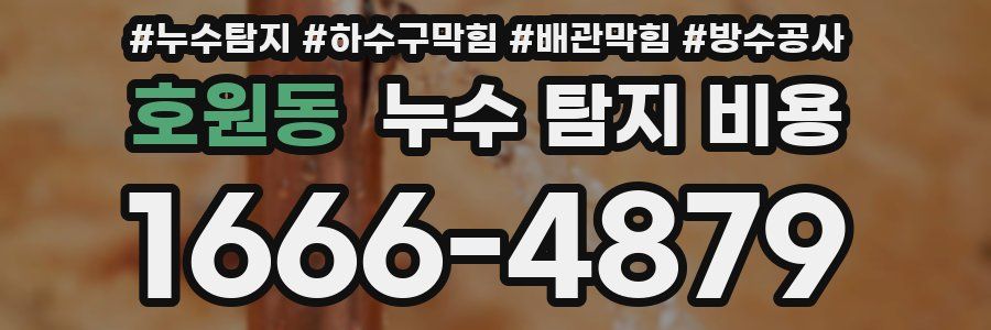 호원동 누수 탐지 비용