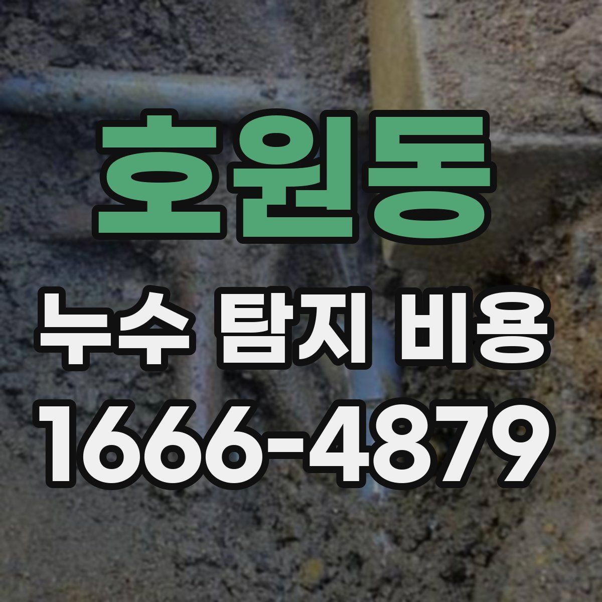 호원동 누수 탐지 비용