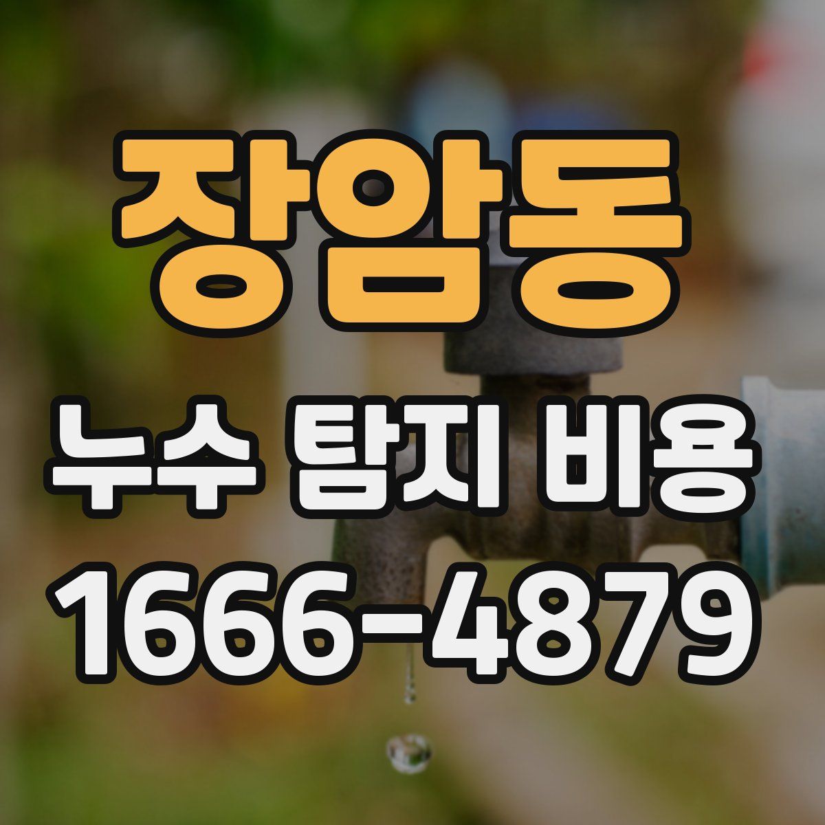 장암동 누수 탐지 비용