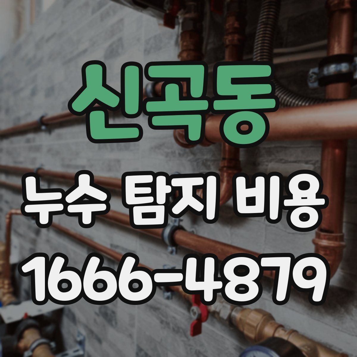 신곡동 누수 탐지 비용