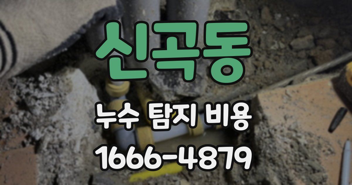 신곡동 누수 탐지 비용