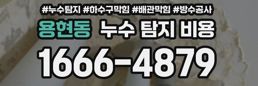용현동 누수 탐지 비용