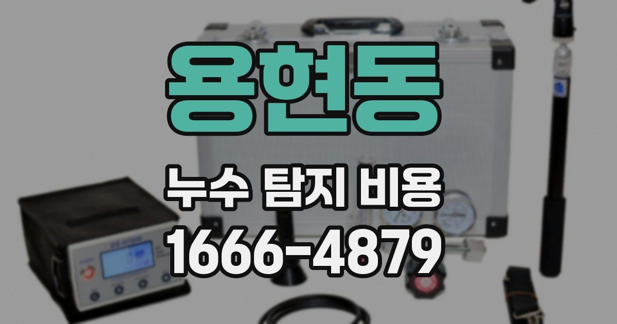 용현동 누수 탐지 비용