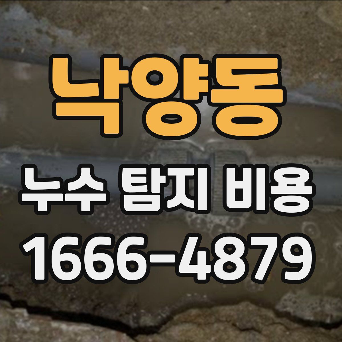 낙양동 누수 탐지 비용