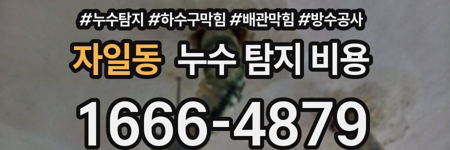 자일동 누수 탐지 비용