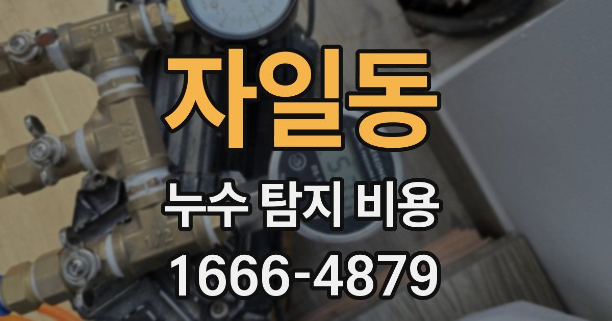 자일동 누수 탐지 비용