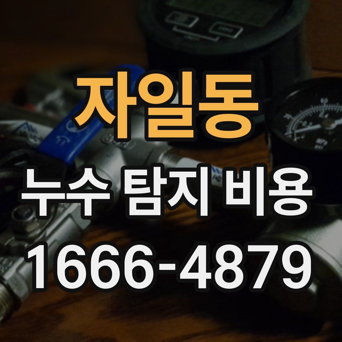 자일동 누수 탐지 비용