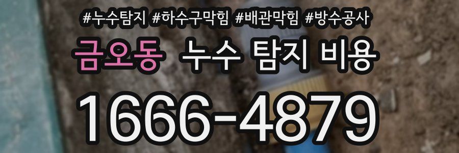 금오동 누수 탐지 비용
