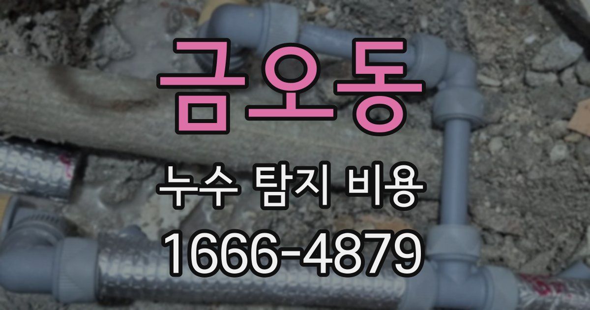 금오동 누수 탐지 비용