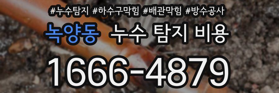 녹양동 누수 탐지 비용