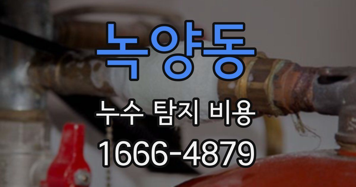 녹양동 누수 탐지 비용