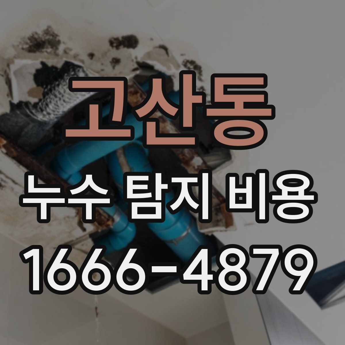 고산동 누수 탐지 비용