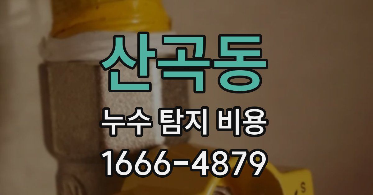 산곡동 누수 탐지 비용