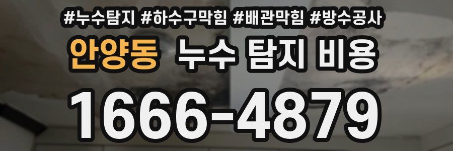 안양동 누수 탐지 비용
