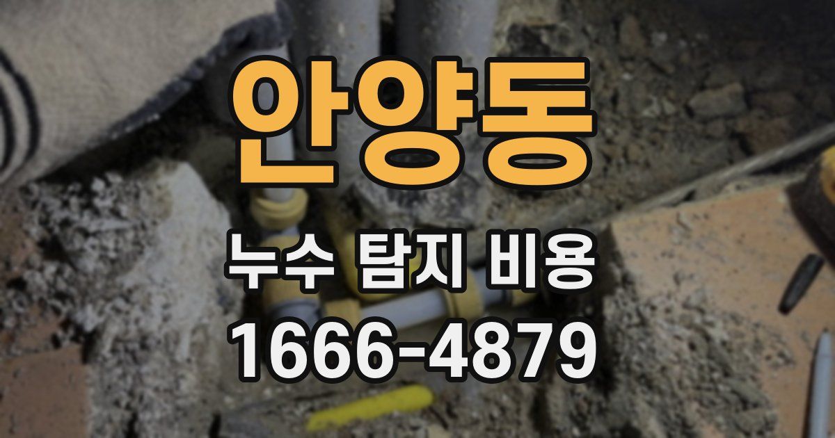 안양동 누수 탐지 비용