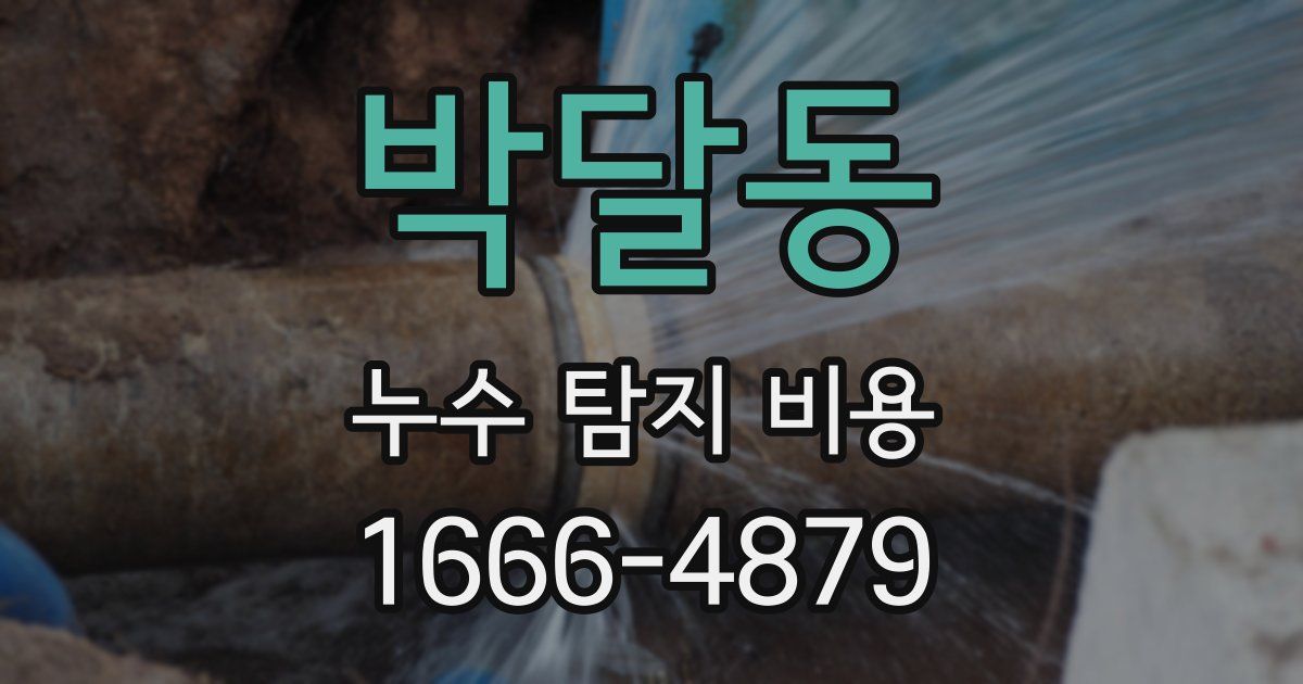 박달동 누수 탐지 비용