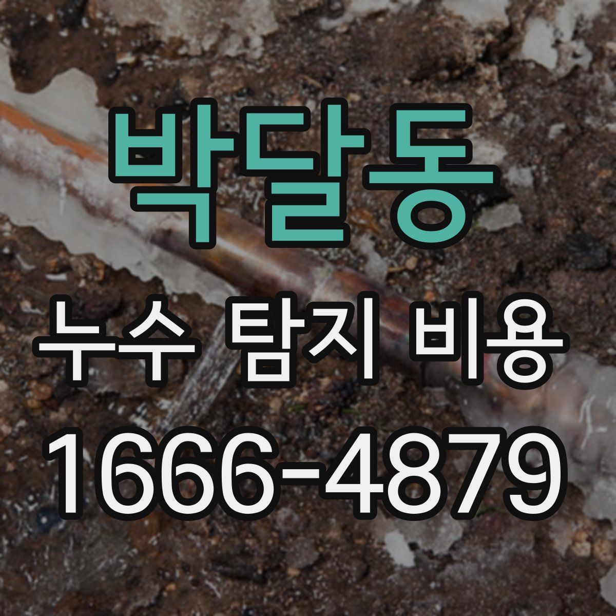 박달동 누수 탐지 비용