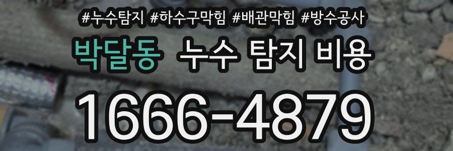 박달동 누수 탐지 비용