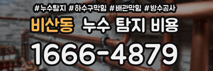 비산동 누수 탐지 비용