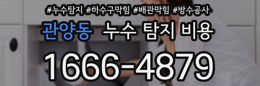 관양동 누수 탐지 비용