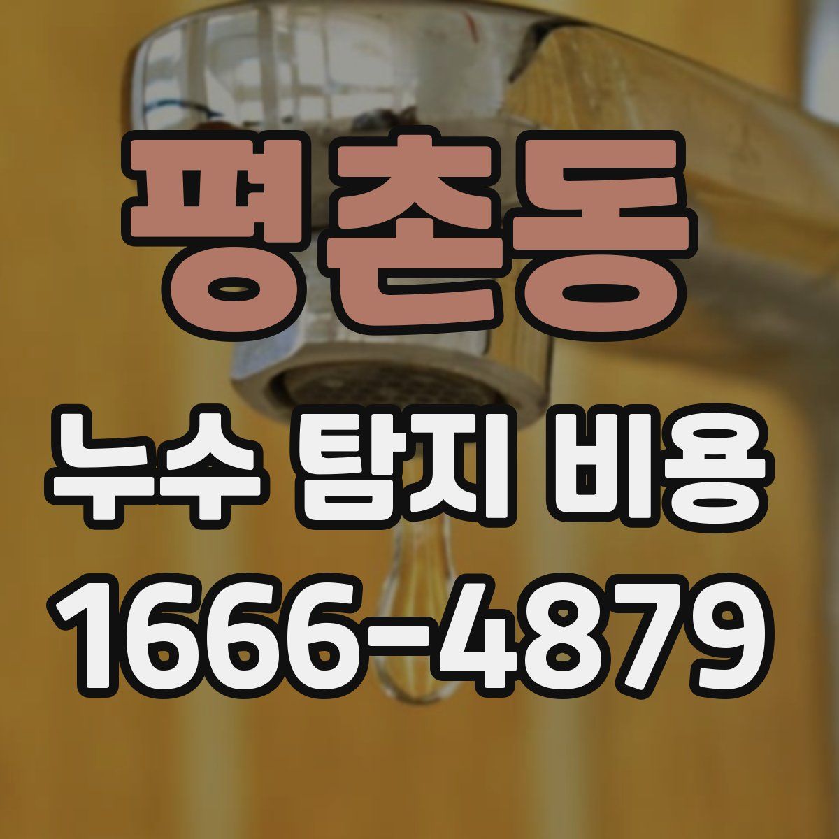평촌동 누수 탐지 비용