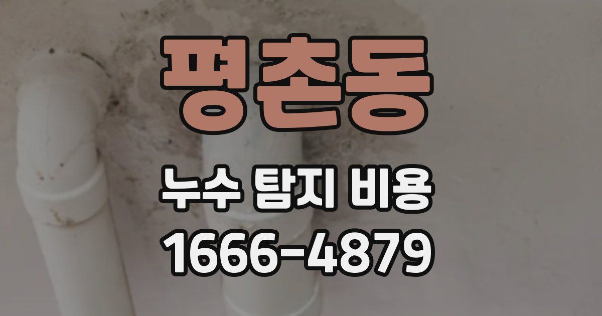 평촌동 누수 탐지 비용