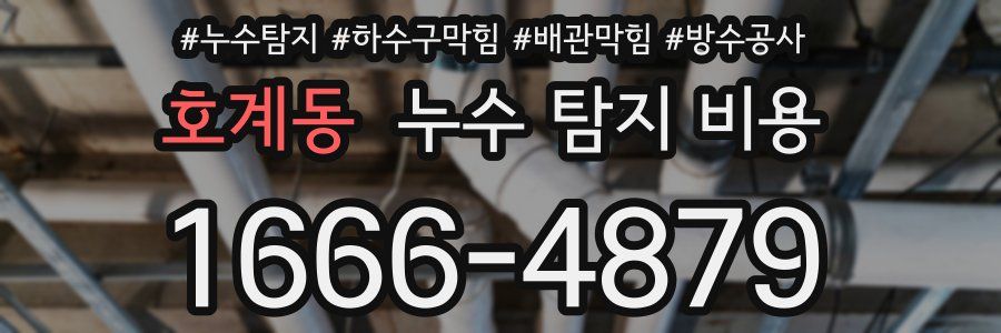 호계동 누수 탐지 비용
