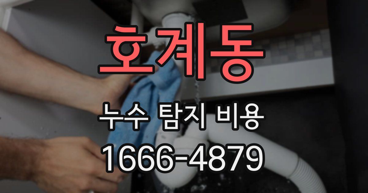 호계동 누수 탐지 비용