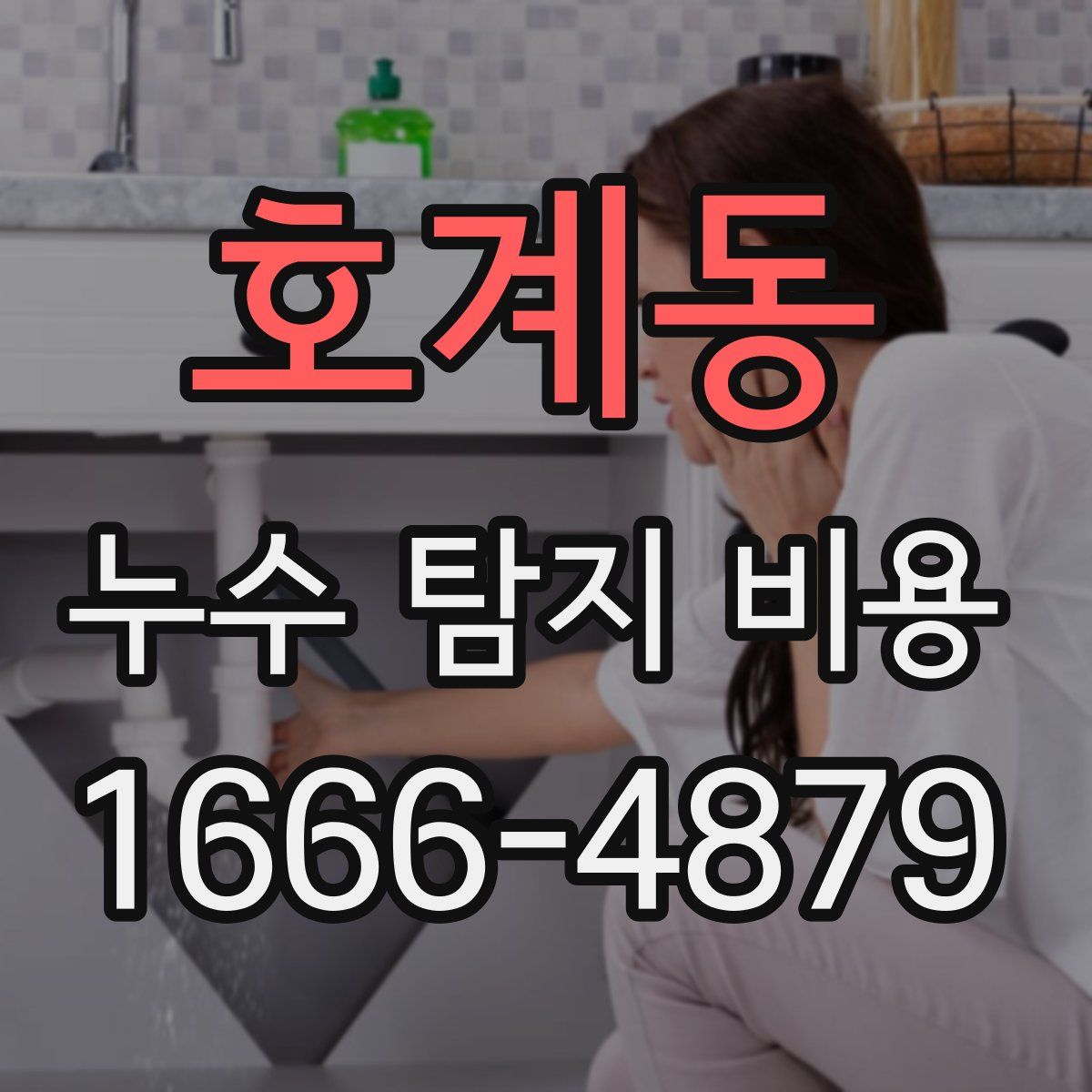호계동 누수 탐지 비용
