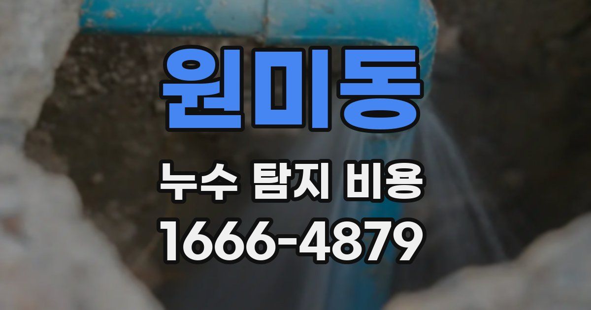 원미동 누수 탐지 비용