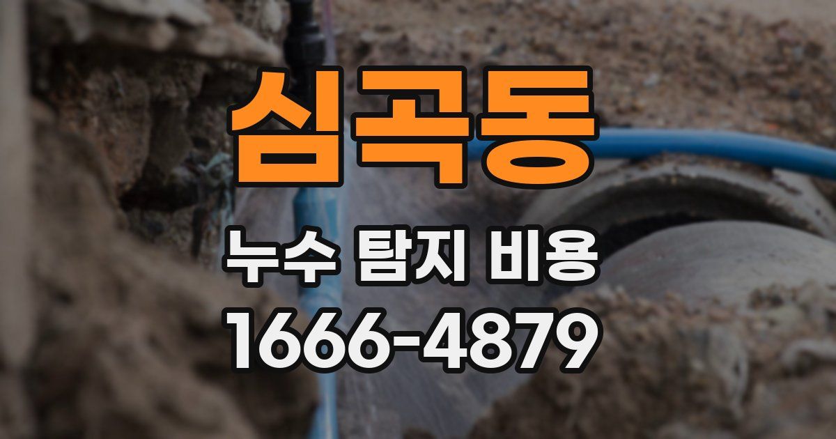 심곡동 누수 탐지 비용