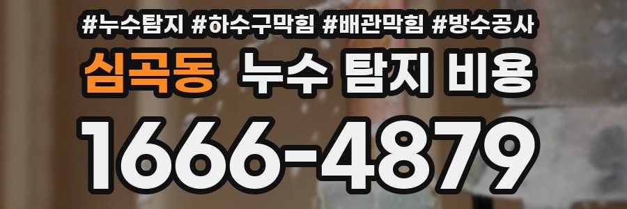 심곡동 누수 탐지 비용
